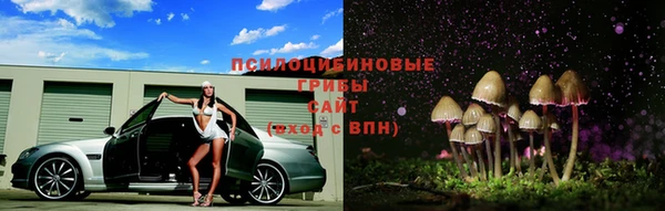 spice Усинск