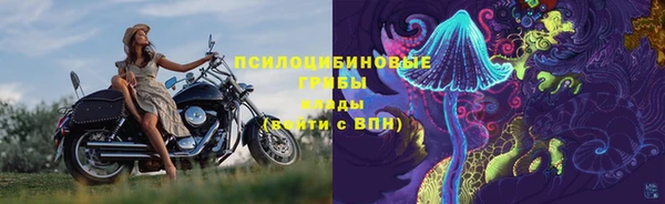 таблы Дмитровск