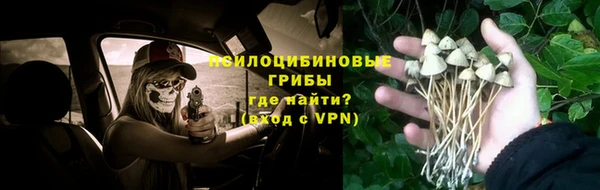таблы Горняк