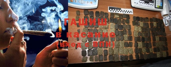 шишки Елизово