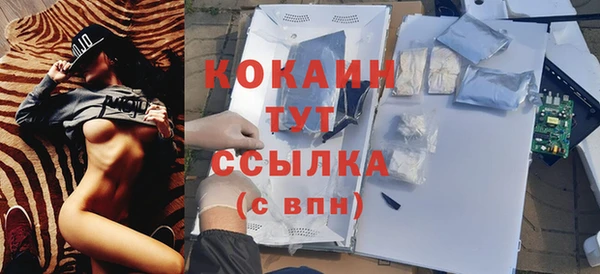 таблы Горняк