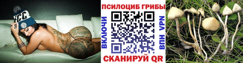 Галлюциногенные грибы ЛСД Дагестанские Огни